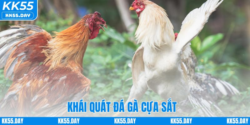 Khái quát đá gà cựa sắt
