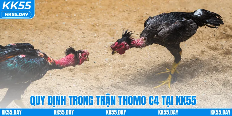 Đá Gà Thomo C4 – Sân Chơi Hấp Dẫn Dành Cho Người Mê Cá Cược 3 Quy định trong trận Thomo C4 tại KK55
